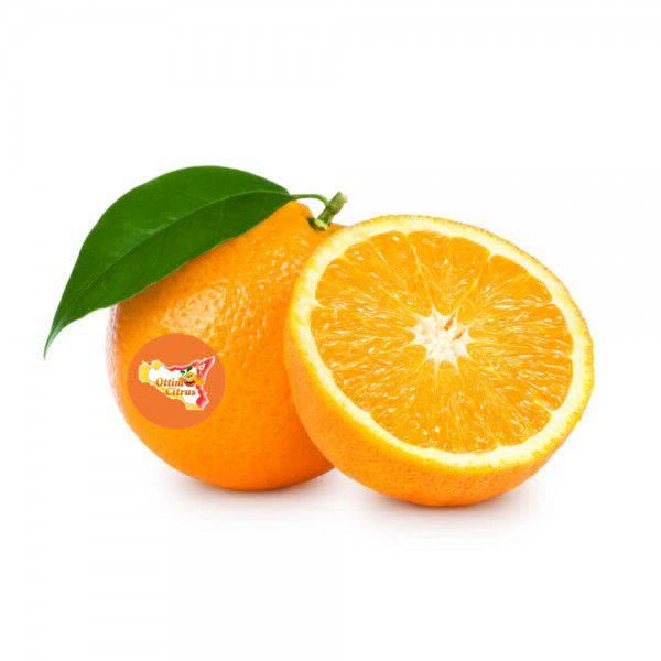 Arancia Navelina Ottimo Citrus