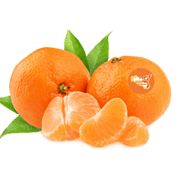 Ciculli Ottimo Citrus
