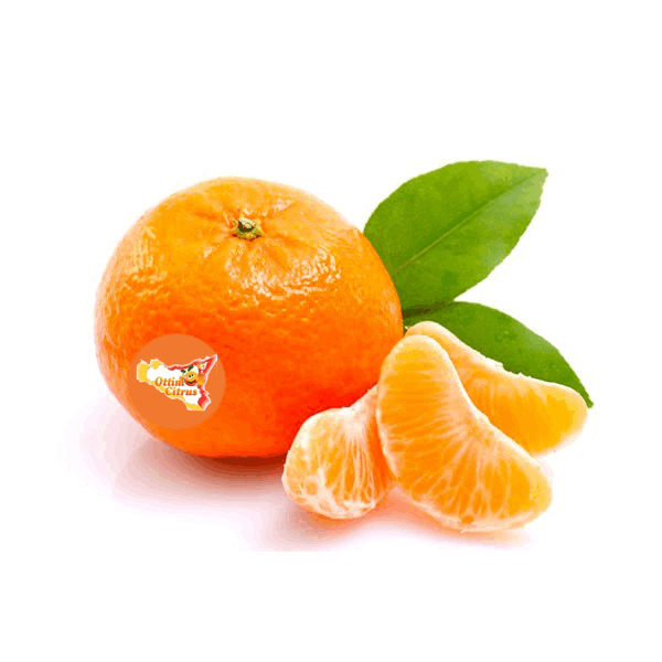 Clementino Nova Ottimo Citrus