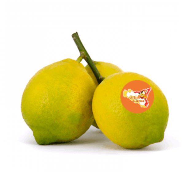 Limone Ottimo Citrus