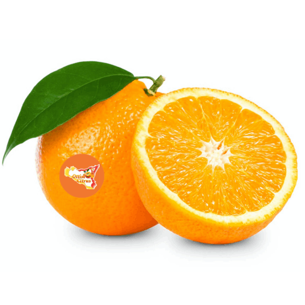 Arancia Ovale Ottimo Citrus