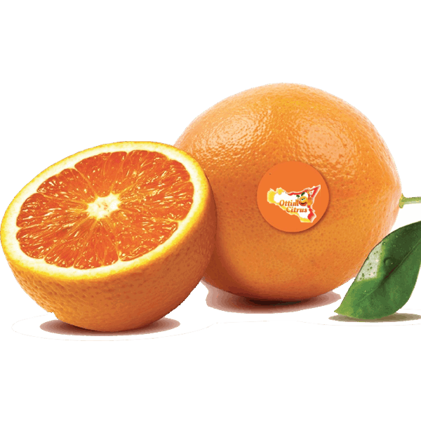 Tarocco Ottimo Citrus