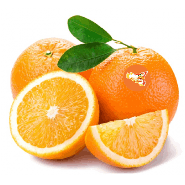 Arancia Valencia Ottimo Citrus